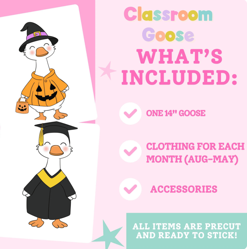 NEW! Silly Goose Full-Year Fun Pack